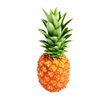 Pineapple Tours, food and drink tasting teacher